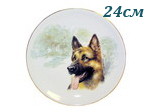Тарелка настенная 24 см, Немецкая овчарка (Чехия) Тарелка настенная 24 см, Немецкая овчарка (Чехия)